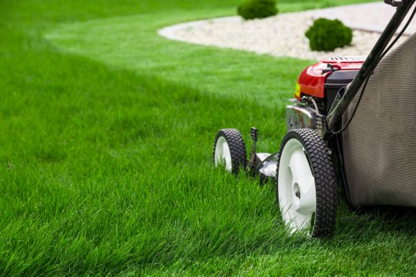 Lawn Cutting Service in Minneapolis