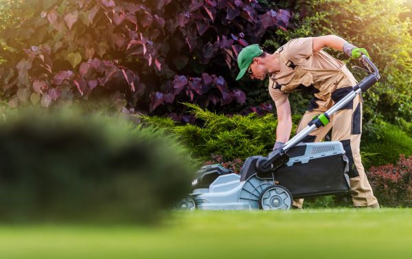 Yard Care Service in Minneapolis