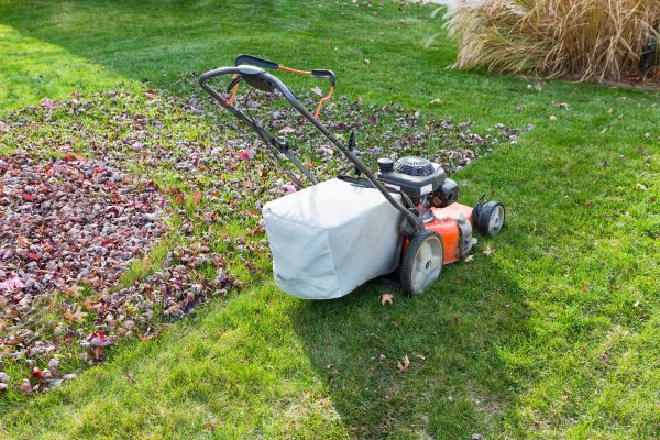 Seasonal Lawn Care in Minneapolis
