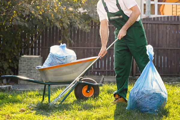 Yard Cleaning in Minneapolis