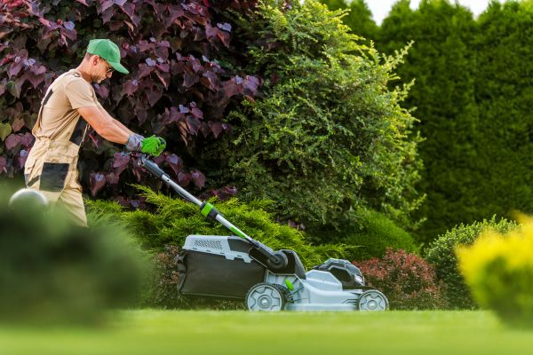 Lawn Management in Minneapolis