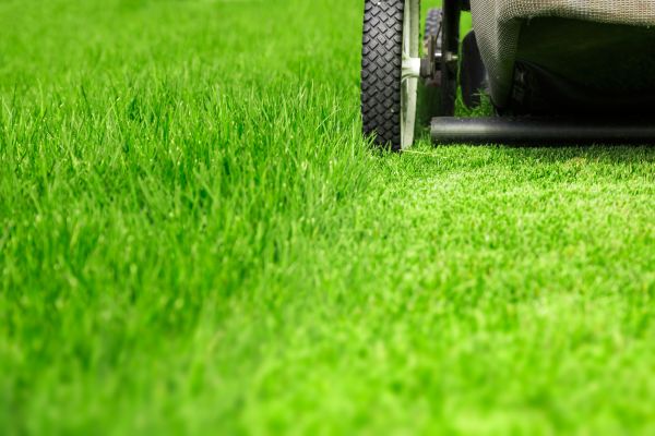 Weekly Lawn Care in Minneapolis