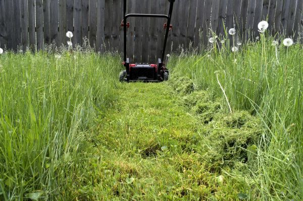 High Grass Mowing in Minneapolis