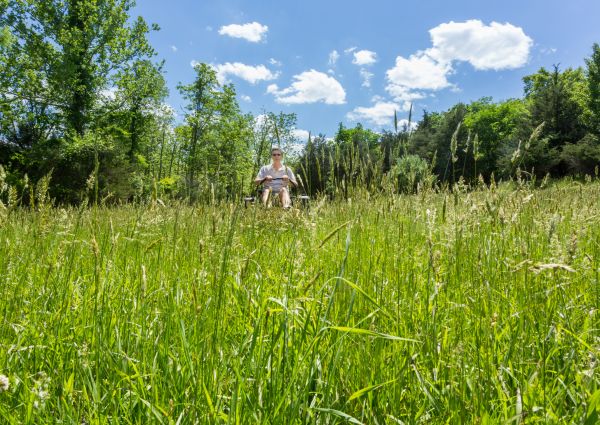 Long Grass Mowing in Minneapolis