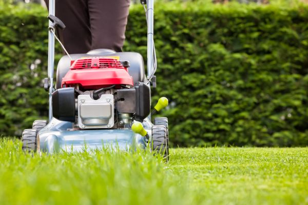 Grass Trimming Service in Minneapolis