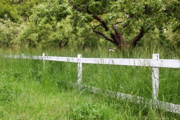 Fence Line Trimming in Minneapolis
