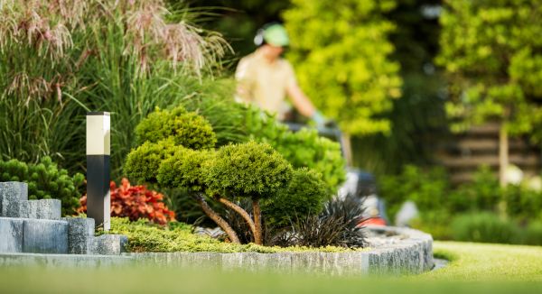 Residential Yard Maintenance in Minneapolis