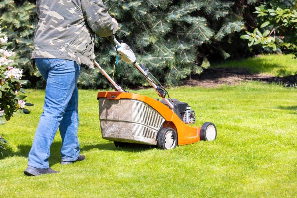 Springtime Lawn Care in Minneapolis