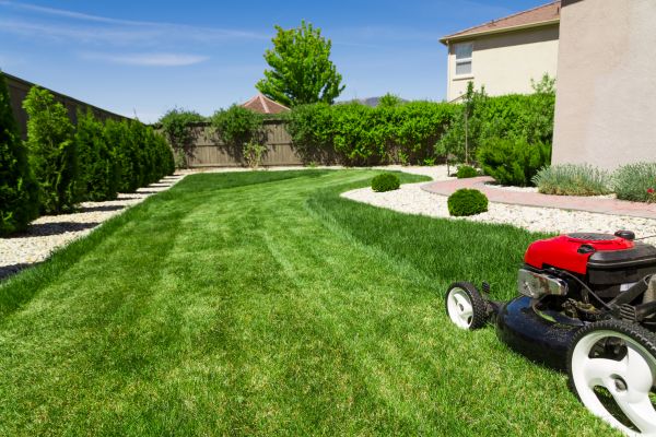 Residential Lawn Mowing in Minneapolis