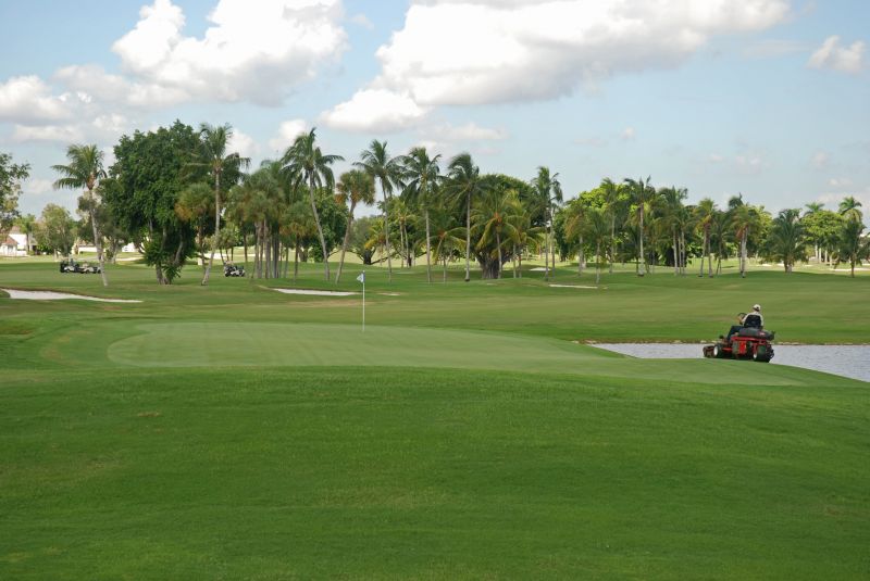 Commercial Yard Maintenance