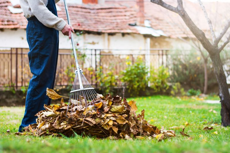 Fall Lawn Care