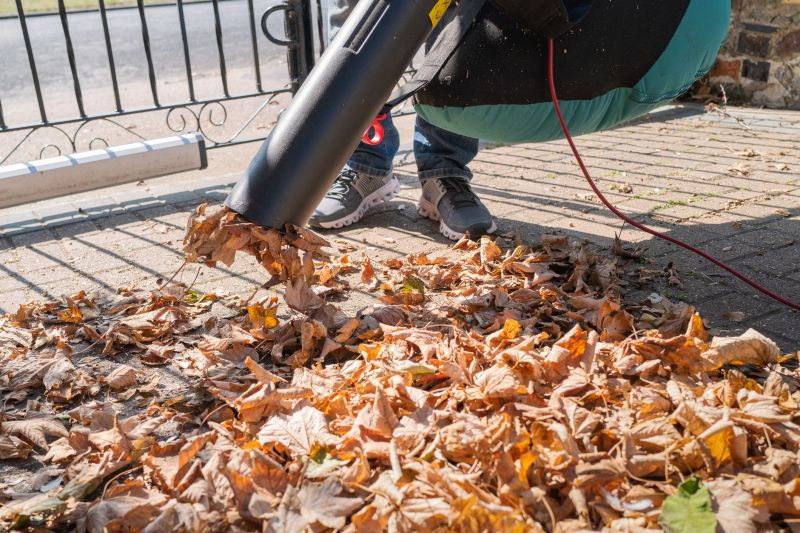 Professional Equipment for Leaf Clearing