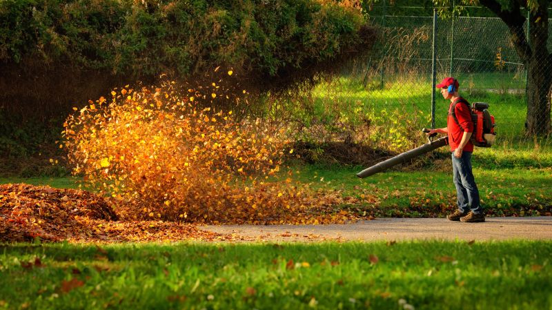 Leaf Blower in Action