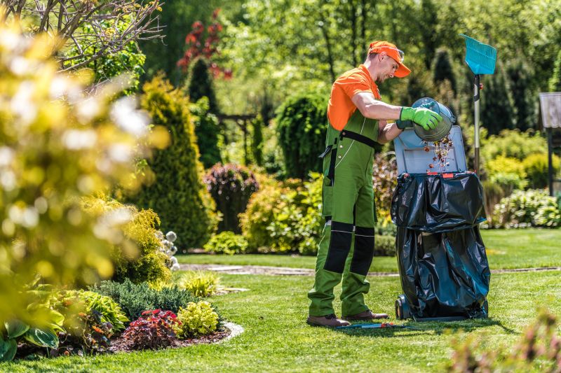 Benefits of Professional Leaf Removal