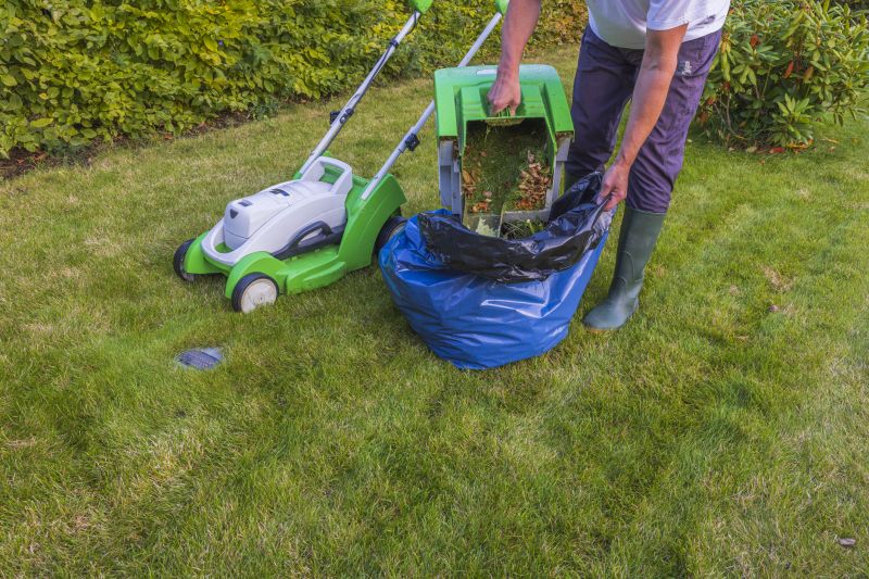 Lawn Mowing detail