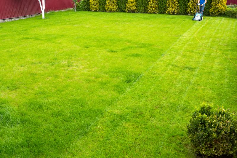 Lawn Care Service