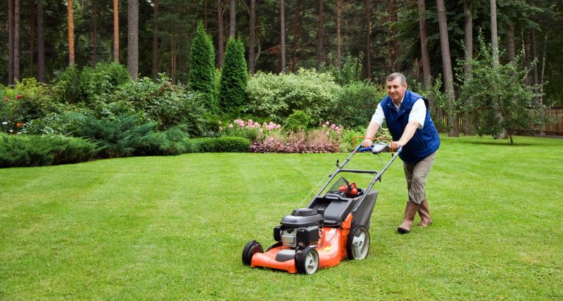 Lawn Service