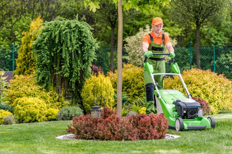 Mowing Service