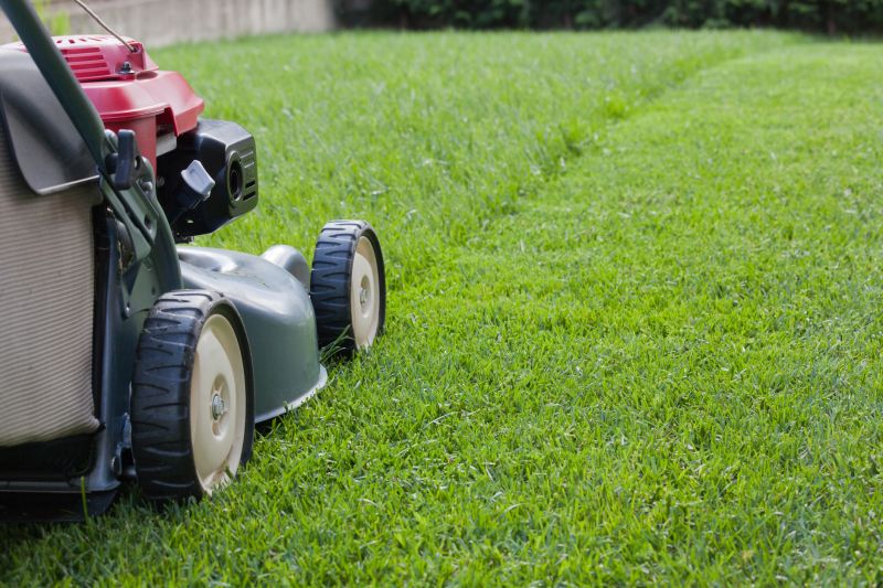 Mowing Service